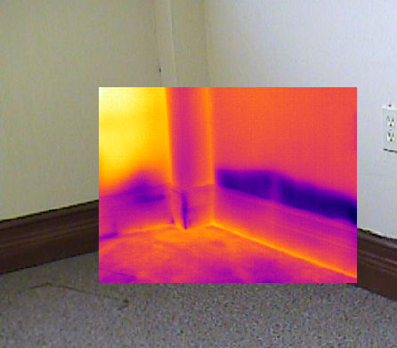 Thermal Imaging Camera for Water Leak Detection and Moisture Damage